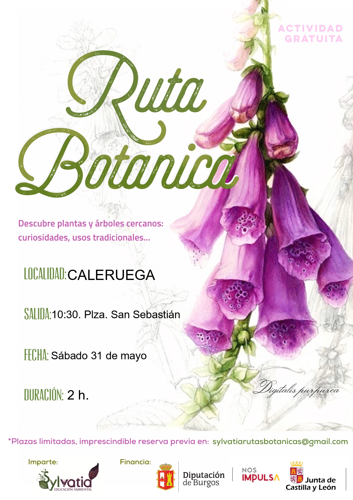 RUTA
