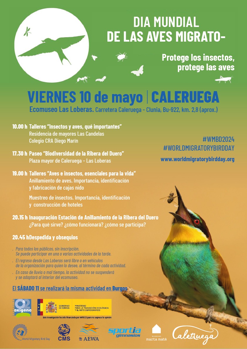 AVES